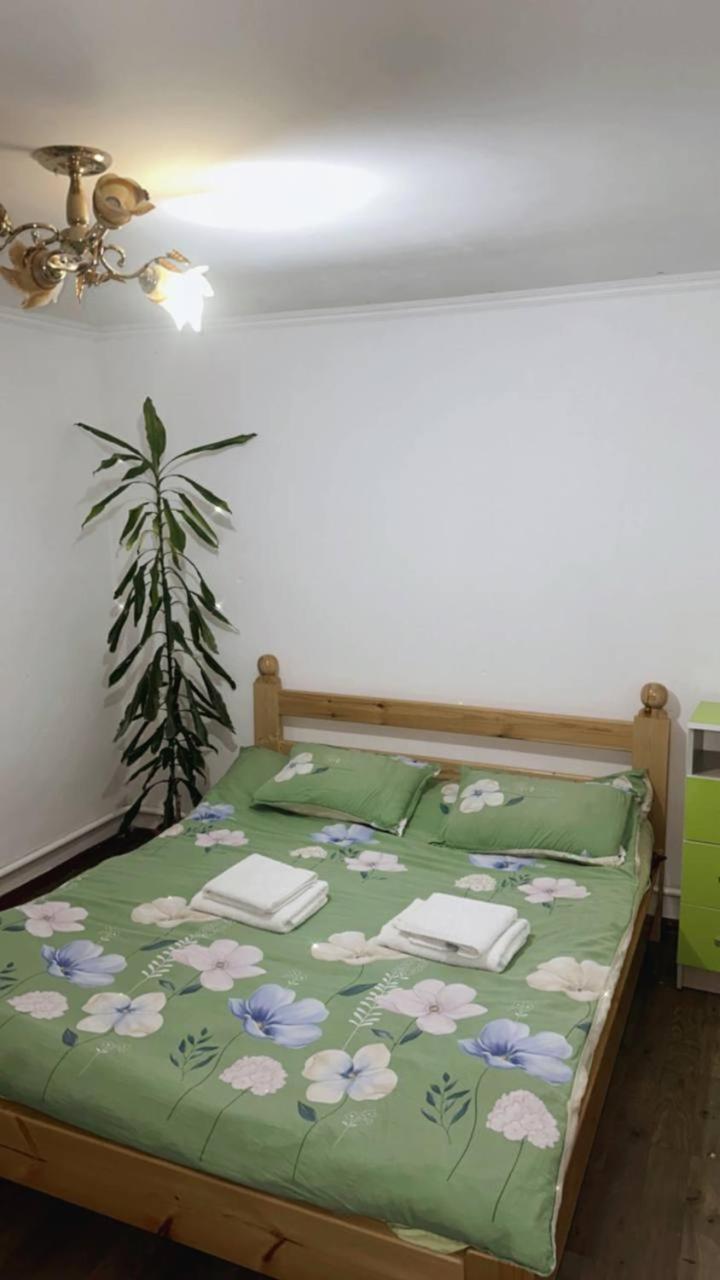 Rozalinda Guesthouse Naryn Exterior foto